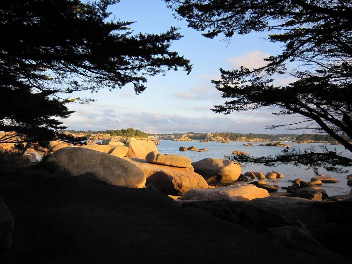 Trestraou, Cote De Granit Rose, Studio Vue Mer, Rez-De-Chaussee Perros-Guirec Eksteriør billede